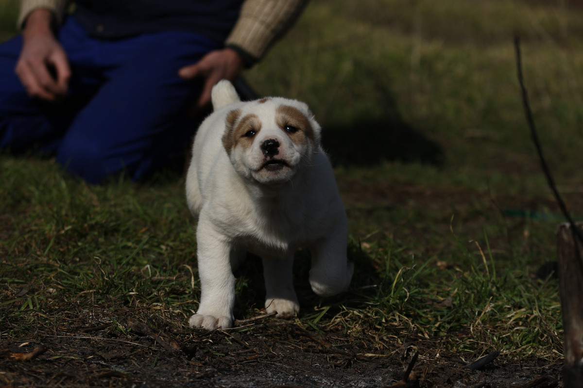 4B5AD179-C15B-4DE1-AAFC-1798643F70E9