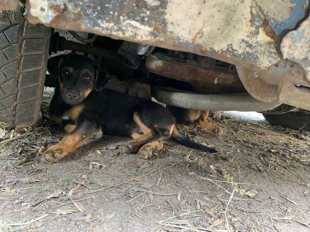 5FD32A47-5259-47D4-A58F-EFD6D901C540