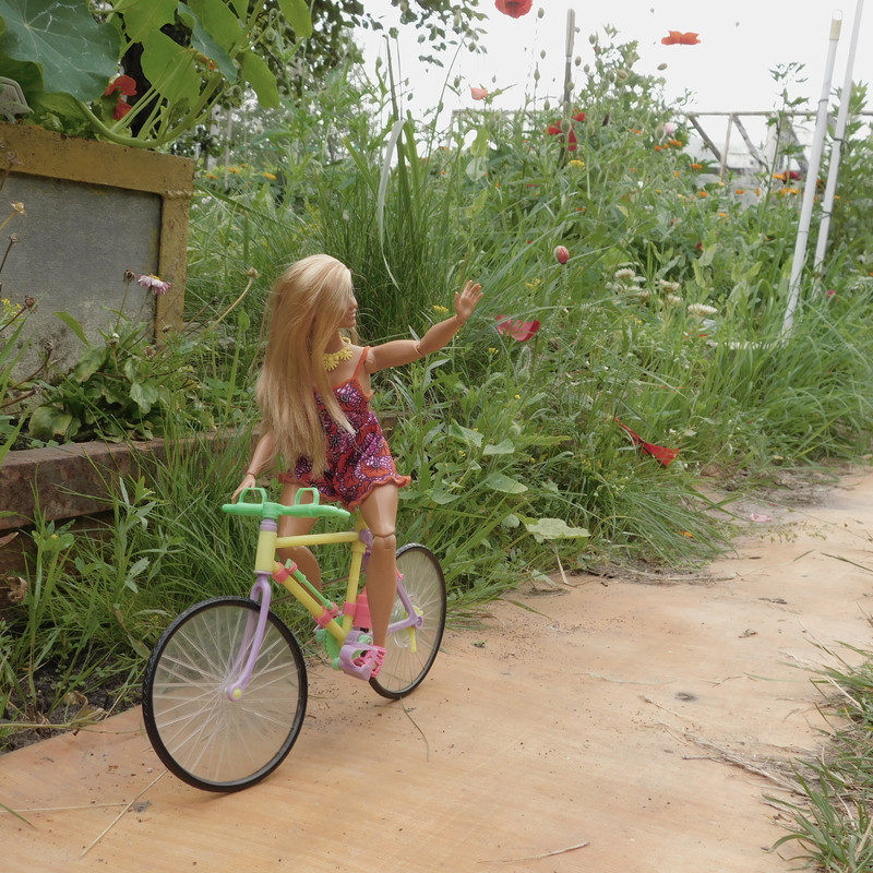 Дачное июль 203 и барби 018