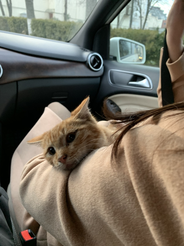 D71E83A6-5A01-4105-9952-E43243FC01B4