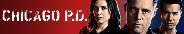 Chicago.PD.S08E01.720p.HEVC_riccanlina