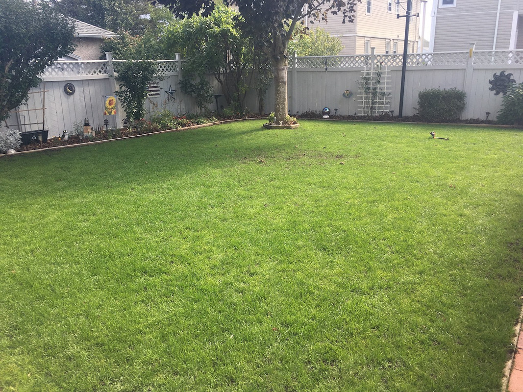 2017_Backyard_Reno_Day_50_1_small