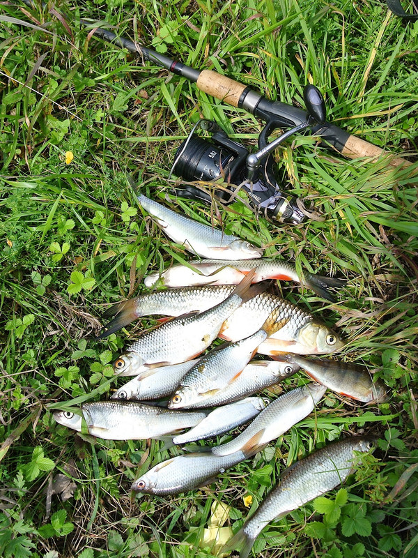 Кочебахтино 07.08.2014 03