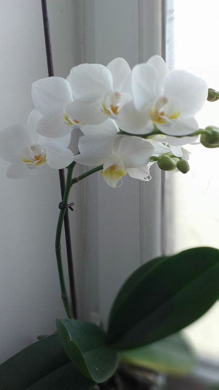 357480130_10226968390013124_7286496452709172096_n