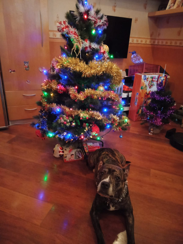 AFF9AFFC-8F30-4F06-92A2-BF78427755BE