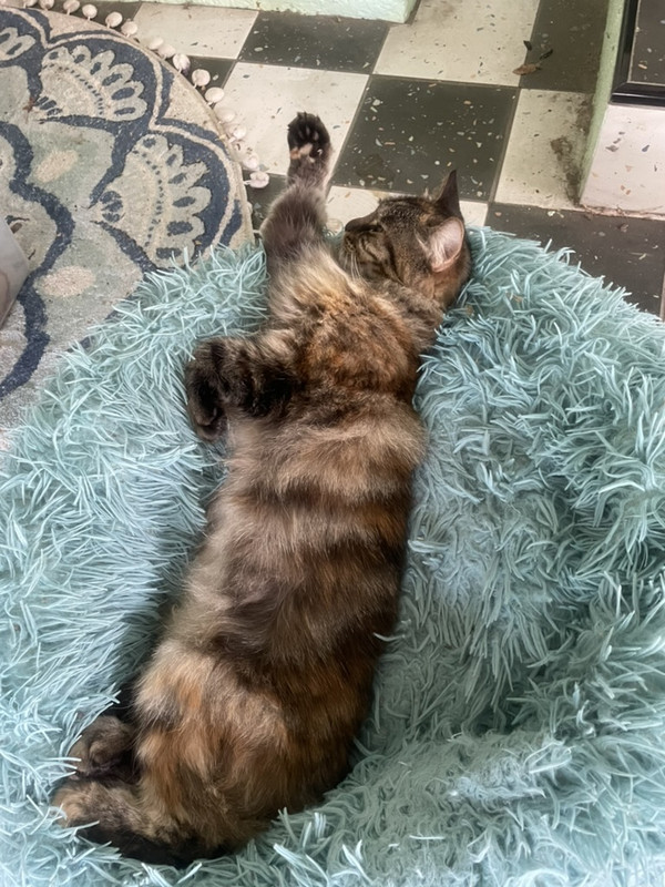 634CA987-BBFE-4BB2-8712-313607139EF4_1_105_c