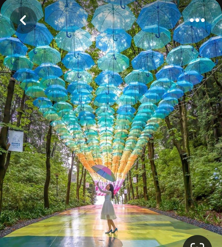 Screenshot_20230614_001624_Pinterest