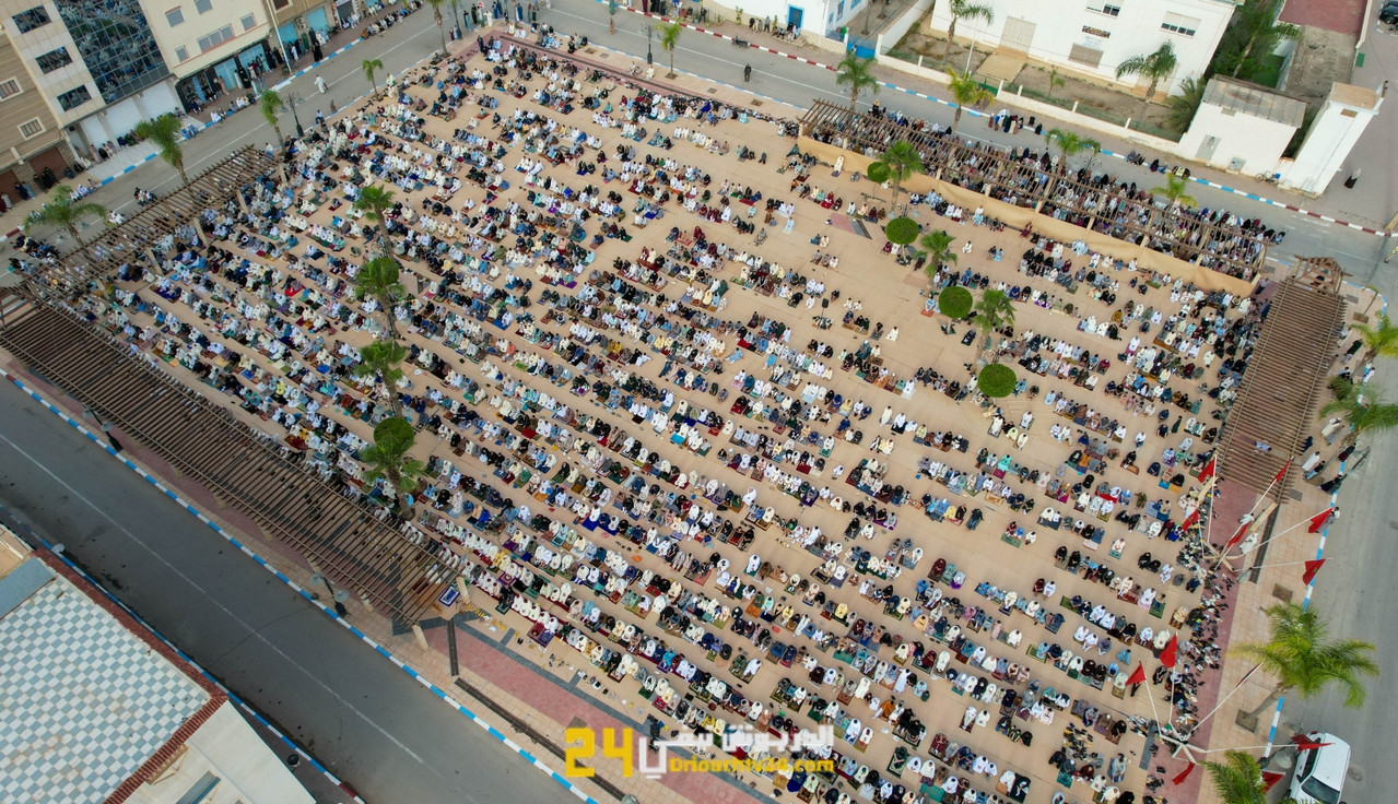 DSC5101