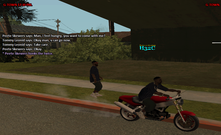 SS4.png