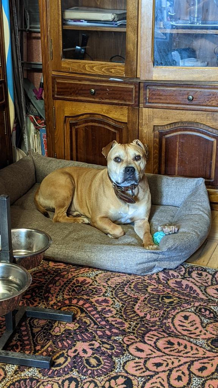 77A72A4D-428E-419F-B98C-415675E3BA98