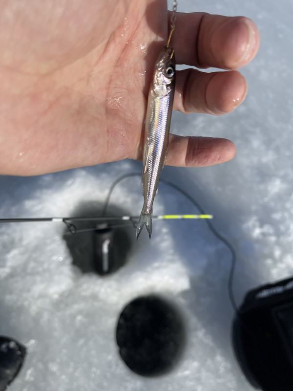 CC3D1082-57BF-49EA-80C0-D24C62E5071B