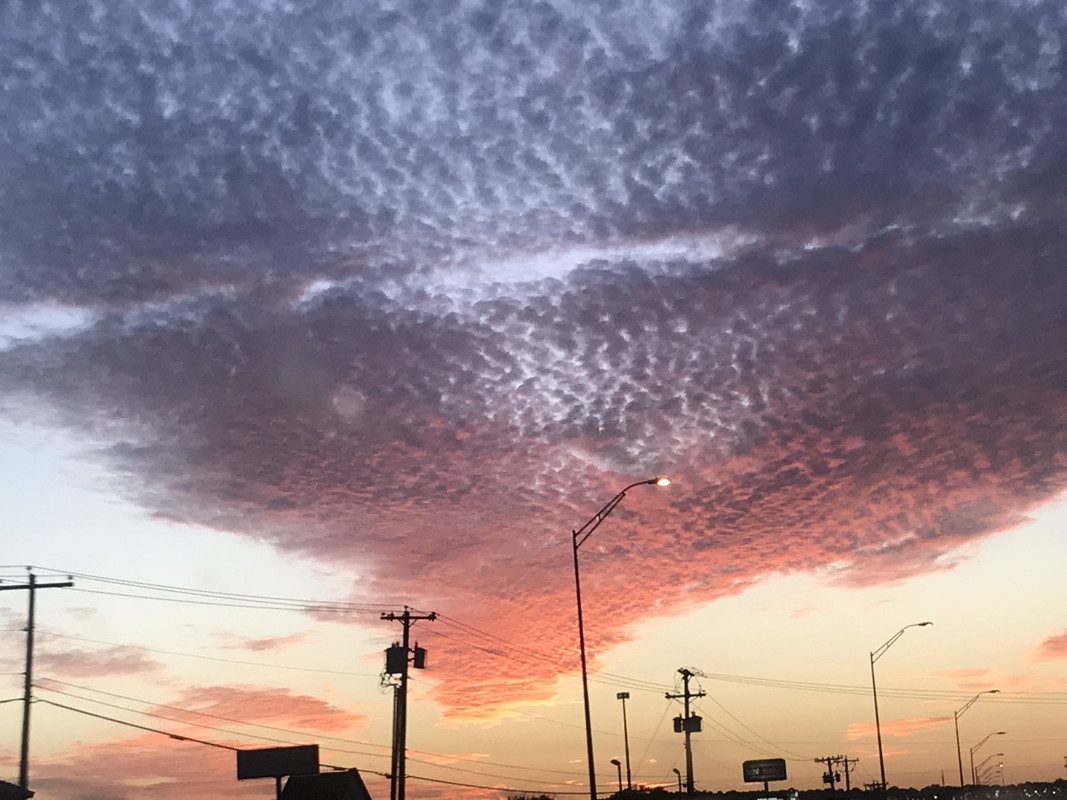 CE6B48C7-16D4-4176-97FB-F08B84A15EA0