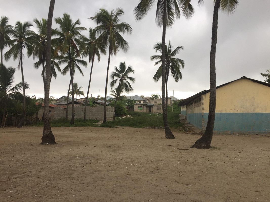 WhatsApp Image 2018-04-03 at 13.49.18(4)