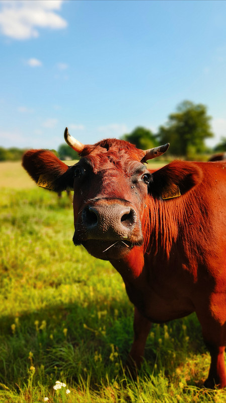 Lumii_20250810_173042925