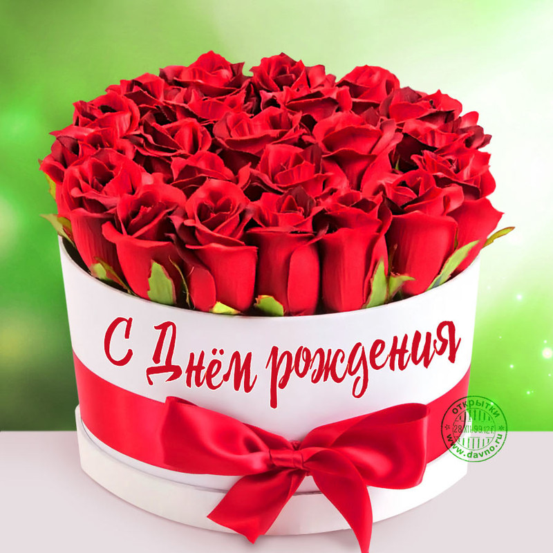 https://i.postimg.cc/pXYrYTSW/birthday-1143.jpg