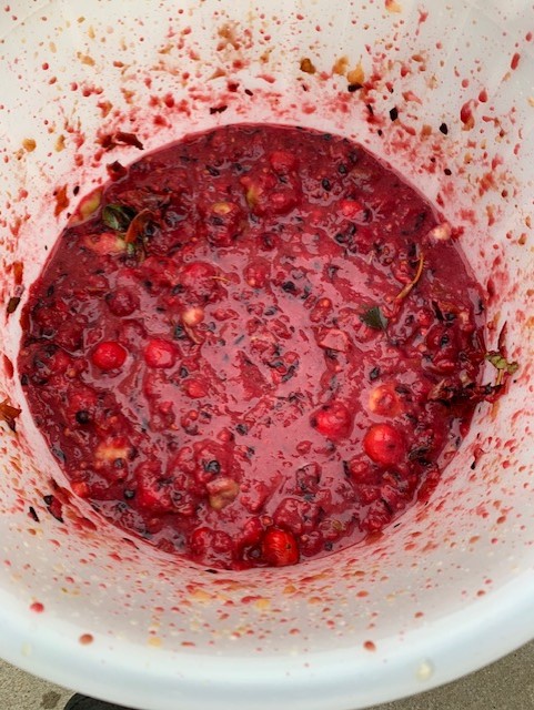 apple cherry mash