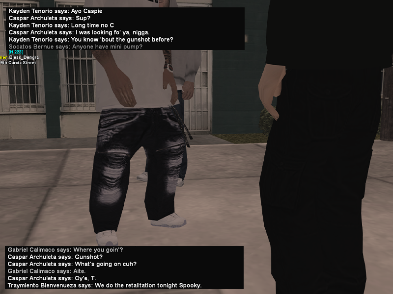 SS1.png