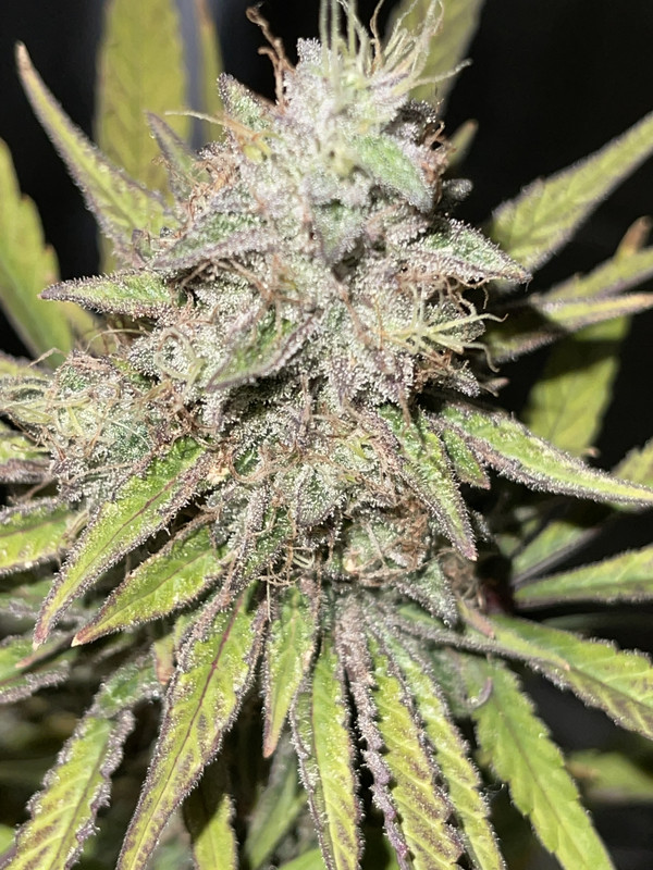 C7E3BEAF-3DFB-4C68-8700-59DB03239802