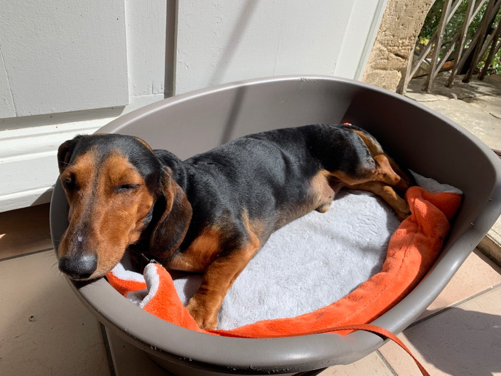 [Image: IMG-1726.jpg]