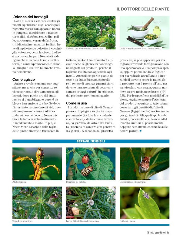 Il Mio Giar Ago-Set 2023 (10)