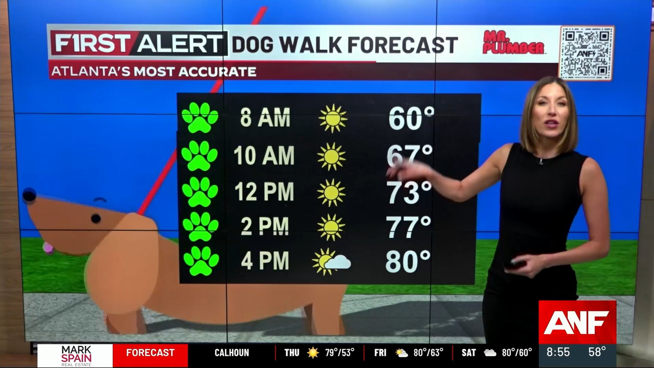 Atlanta News First at 9am_20240425_14001430.ts_snapshot_01.40.149