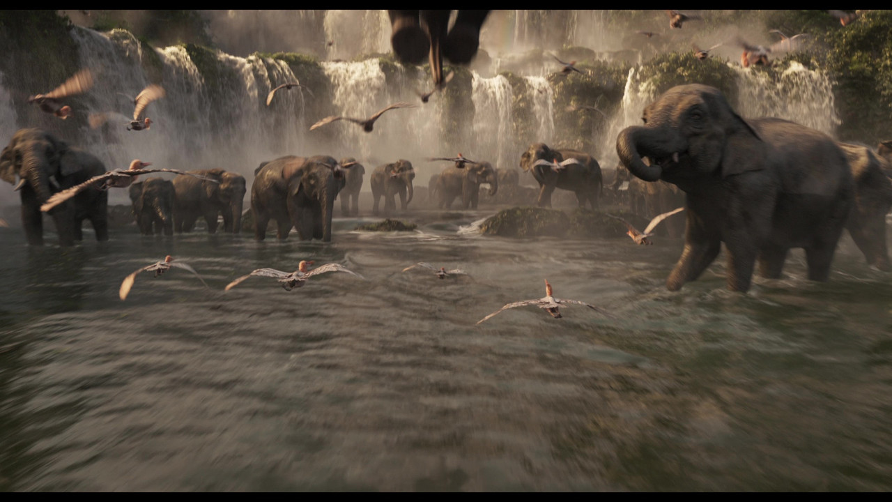 vlcsnap-2020-04-18-17h25m33s363