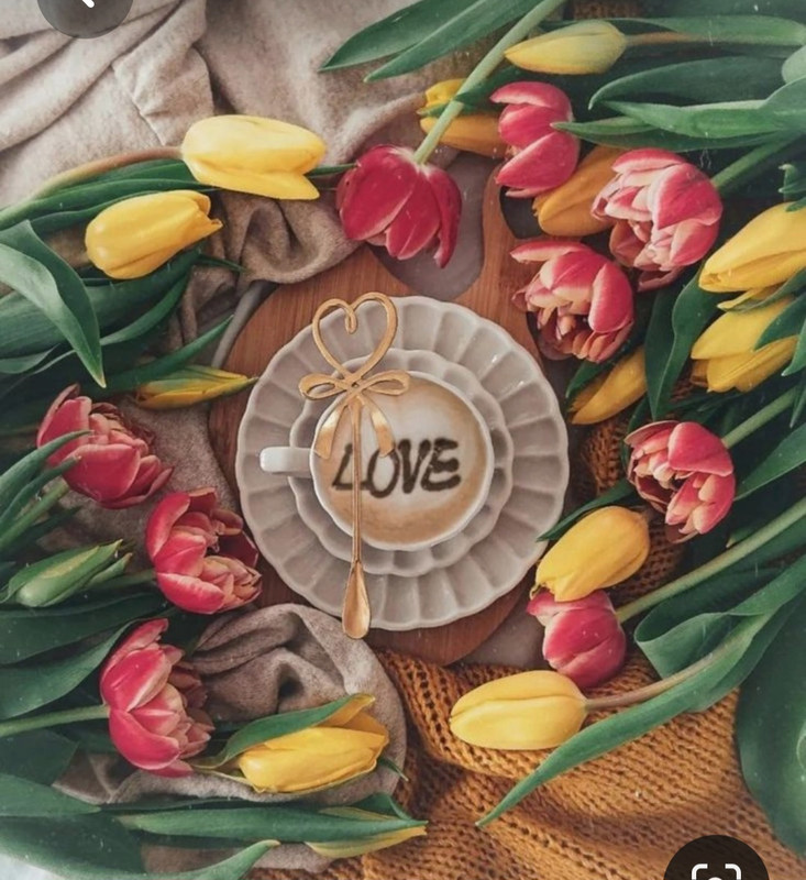 Screenshot_20230705_222839_Pinterest