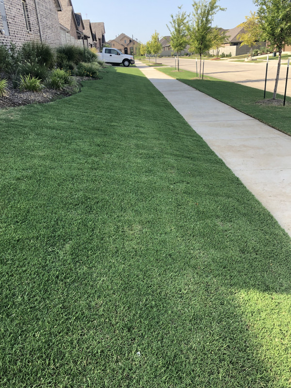 725C3F9D-8280-4692-AA45-9A40FA4FB9E9