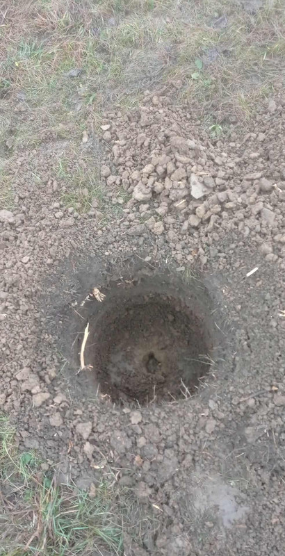 601305580 1545103576772470 2732920275595076564 n