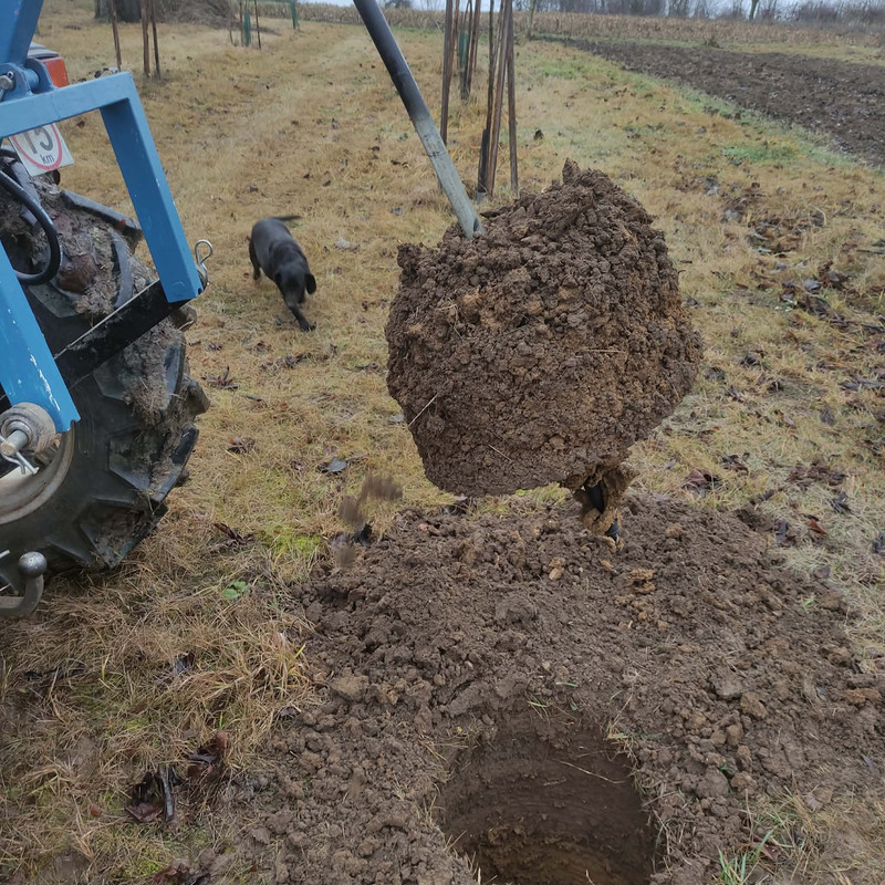 598635314 1171800421794820 3967344539703428911 n