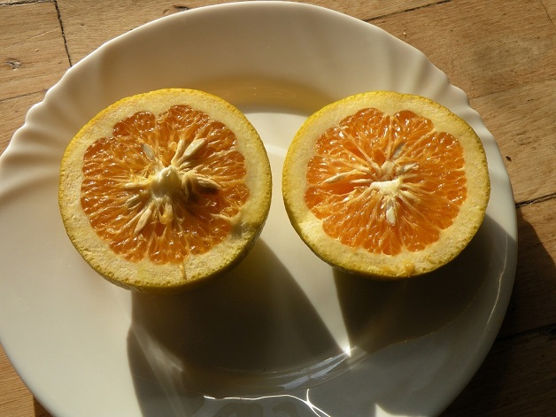 hassaku