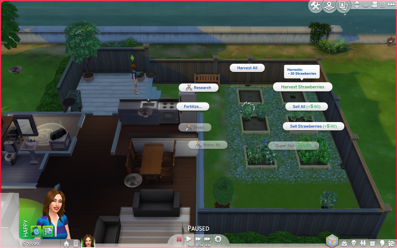 TS4-Garden.png