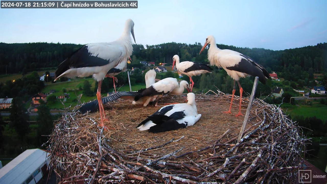 Tiešraidē no uzņēmuma KARA stārķa skursteņa Bohuslavicē pie Trutnovas 15-10-29 screenshot (1)