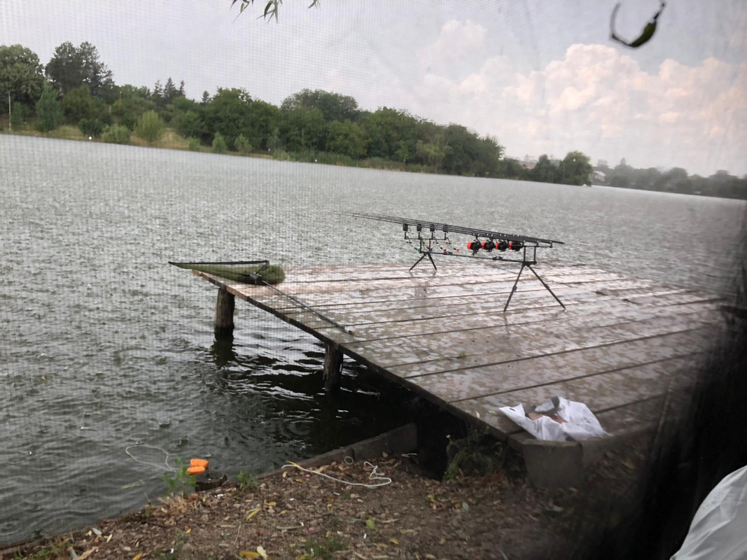 WhatsApp Image 2021-01-03 at 08.59.15 (1)