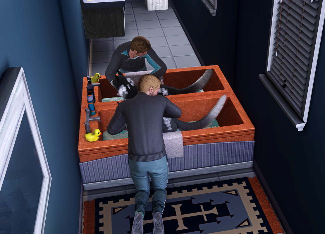 TS3-W-2024-10-14-16-54-45-preset3-Dove.jpg