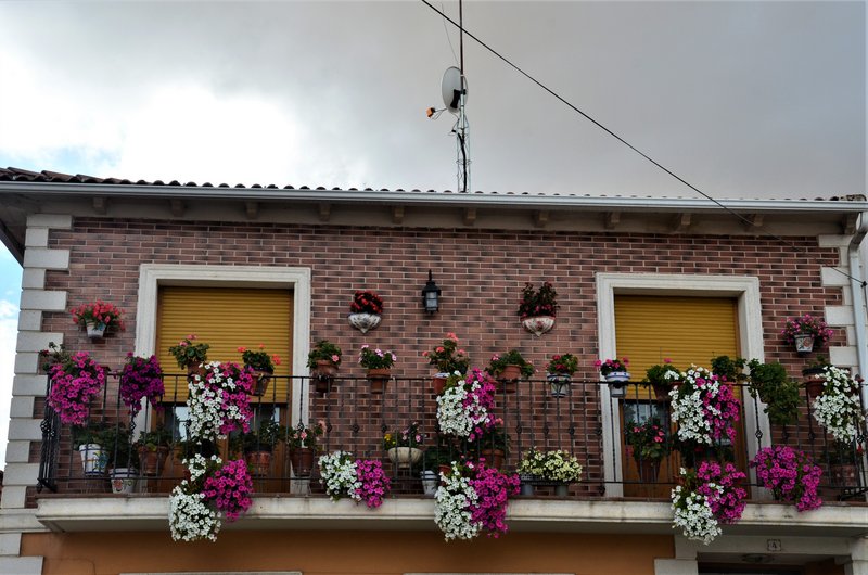 MOJADOS-15-9-2022 - Valladolid y sus pueblos-2012/2016 (21)