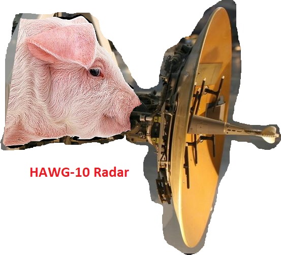 Hawg10.jpg