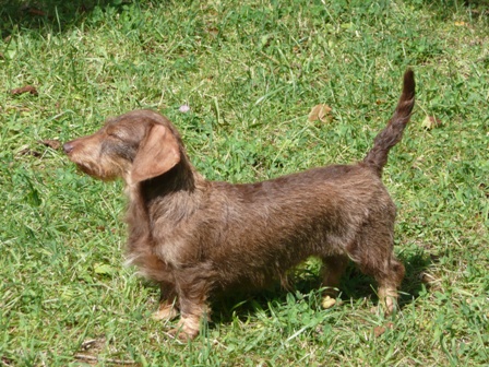 [Image: 6-Mitsu036.jpg]