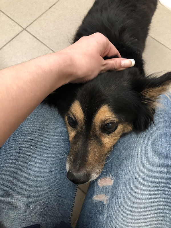 92484C68-DD24-4441-8642-EC1EA282FAB7