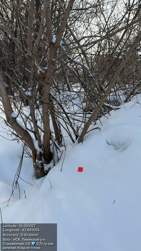 photo 2026 03 07 18 05 20