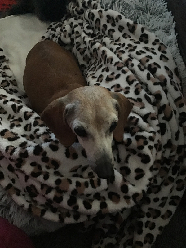 [Image: 73-B37-CEA-C401-4-FBD-96-A6-A747857-CA5-E3.jpg]