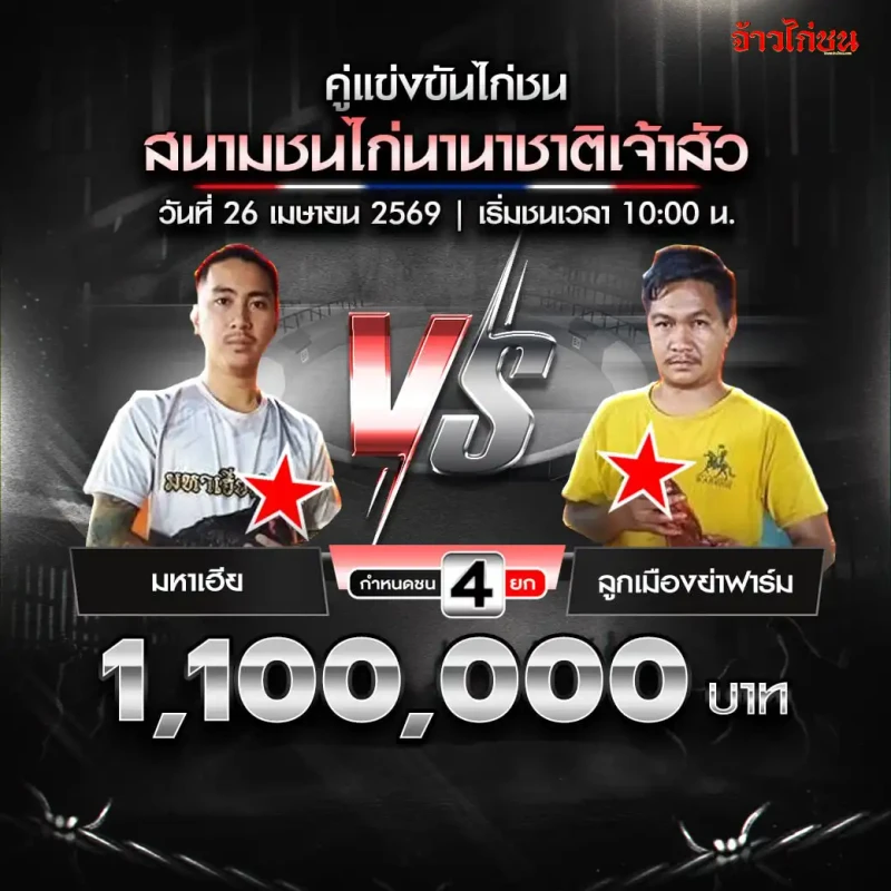 มหาเฮีย พบ ลูกเมืองย่าฟาร์ม โปรแกรมไก่ชน สนามชนไก่นานาชาติเจ้าสัว วันที่ 26 เมษายน 2569