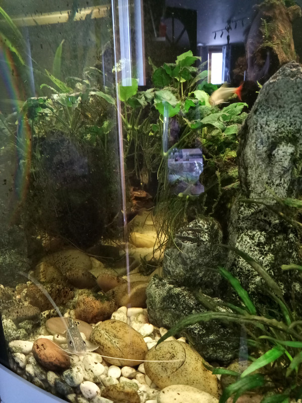 16882906185665500528824888929486