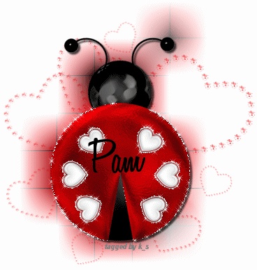 Pam-Lady-Bug