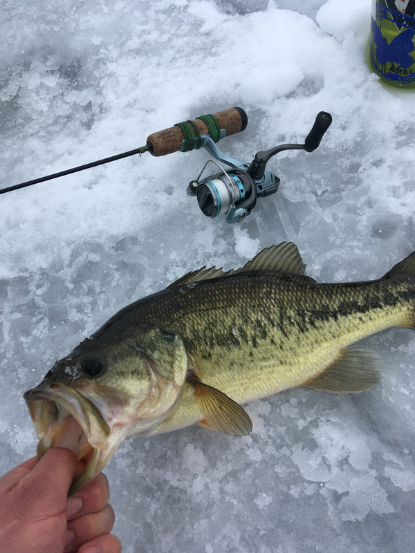 FBC89FAC-9414-48CC-9DEF-EABA48650D9D