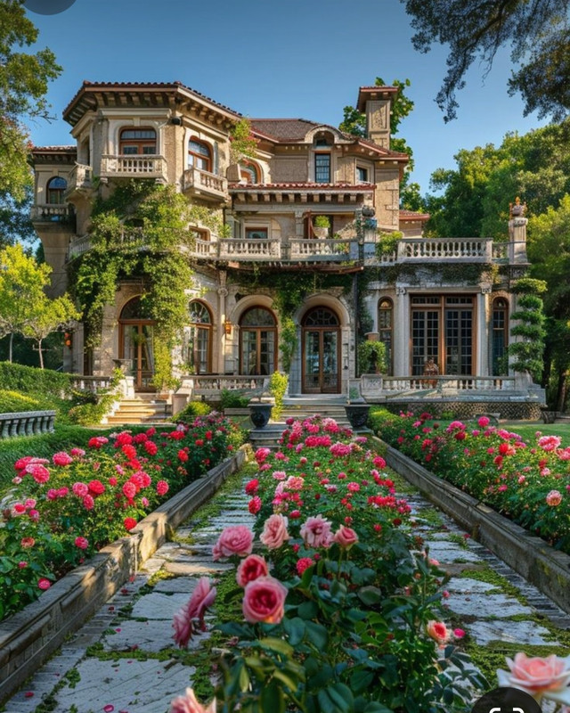 Screenshot_20240506_221130_Pinterest