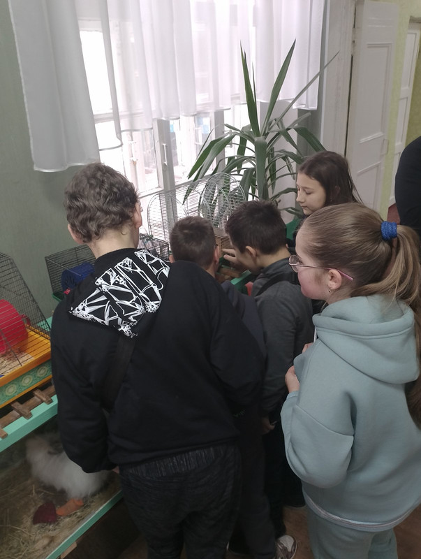 изображение_viber_2024-02-06_10-38-48-962