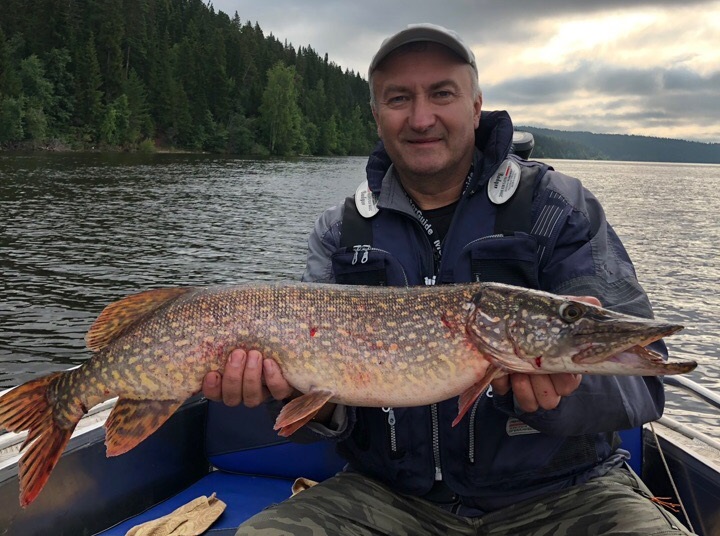 40 джиг головка купи лучший спиннинг катушка Куляпин ловля рыбалка судак щука обучение