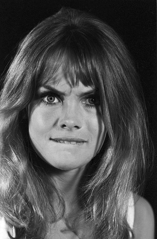 jean_shrimpton_md72