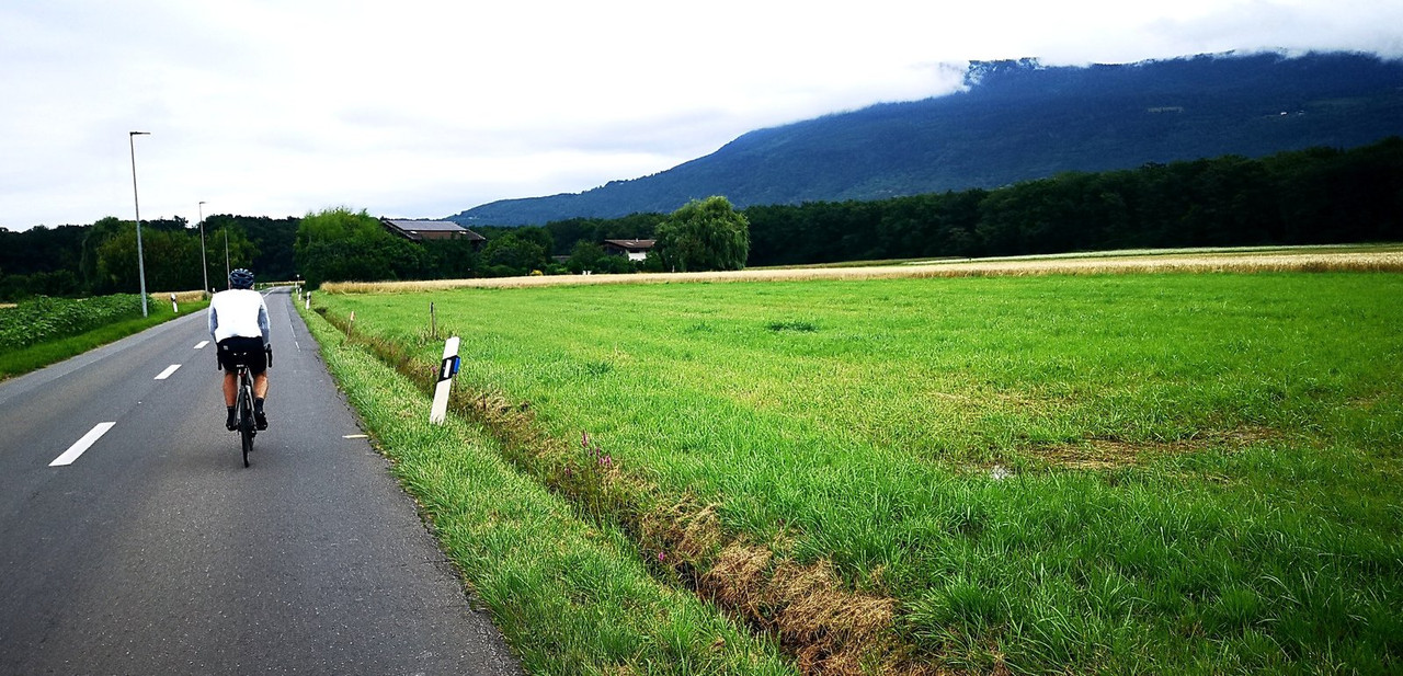 IMG_20240707_135041_edit_779911230119535